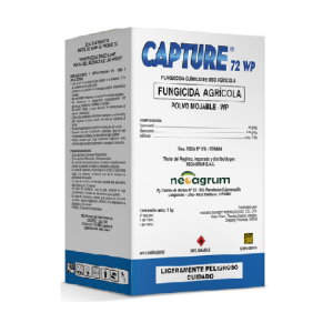 CAPTURE 72 WP X 1 KG (Cimoxanil+Mancozeb)