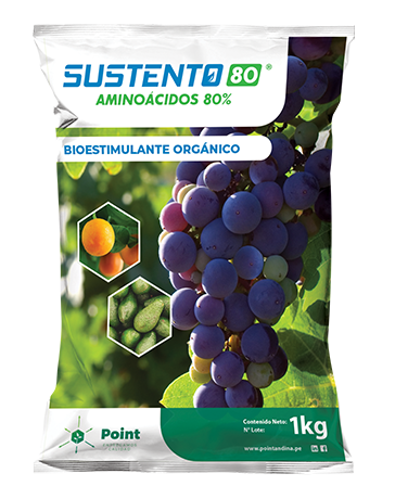 SUSTENTO 80% X 1 KG (Aminoacidos)