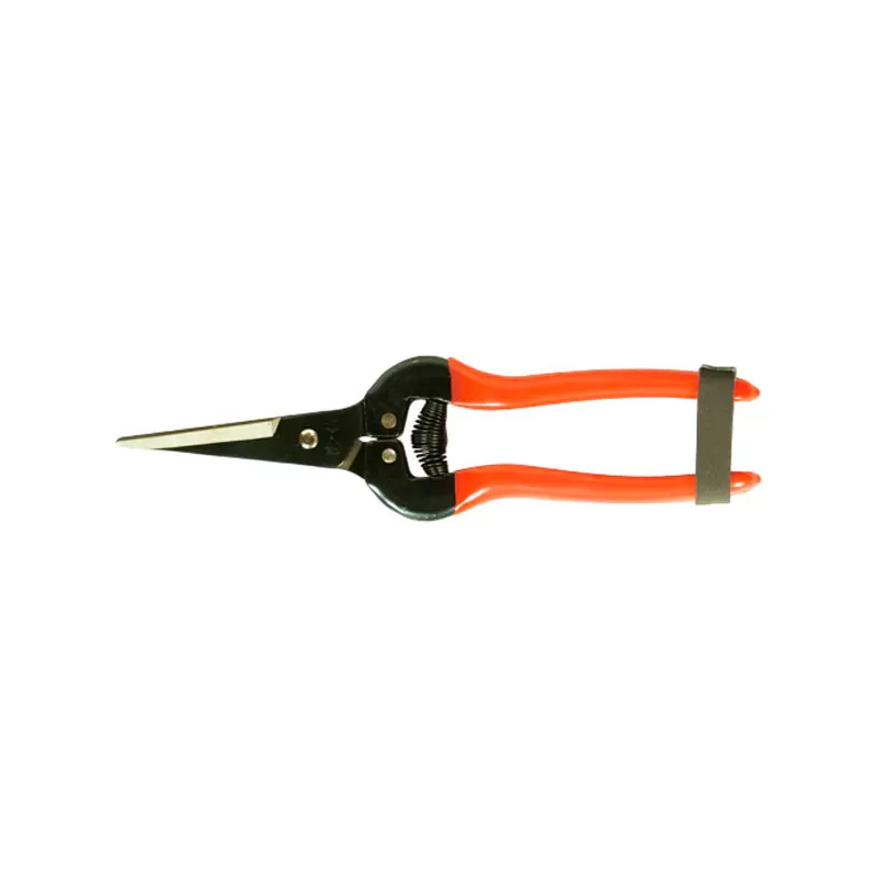 Tijera de Cosecha Raleo Frutos Recta Acero Inoxidable Largo 190mm